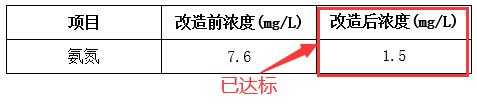 处理后的总磷效果对比
