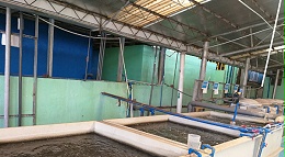 污水总磷超标如何治理（图）