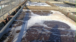 工业废水氨氮快速去除方法