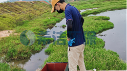 污水总磷偏高怎么处理