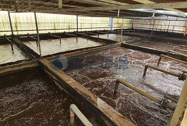 养猪场污水处理方法