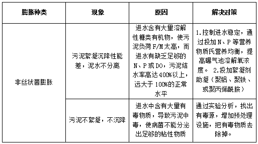 污水站运营常见问题及应对措施污泥膨胀