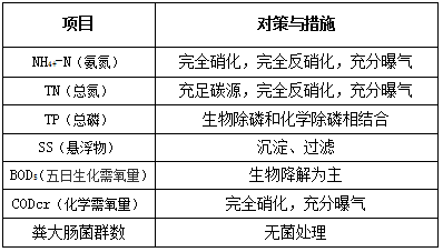 污水站运营常见问题及应对措施