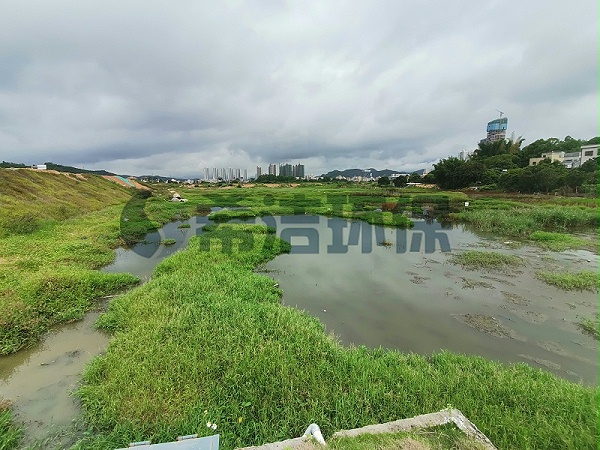 农村生活污水