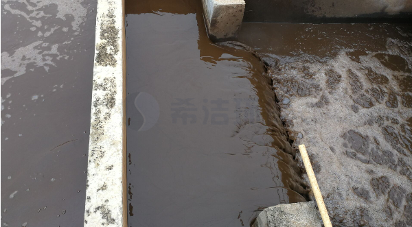 废水中铜的去除方法