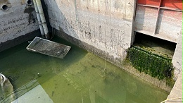 养猪废水处理