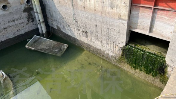 养猪废水
