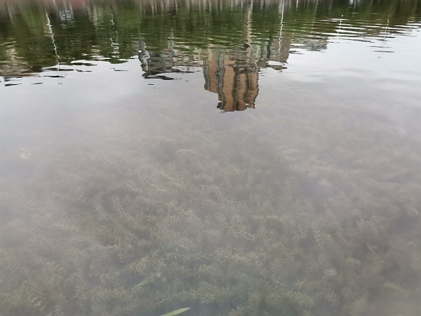 河道治理