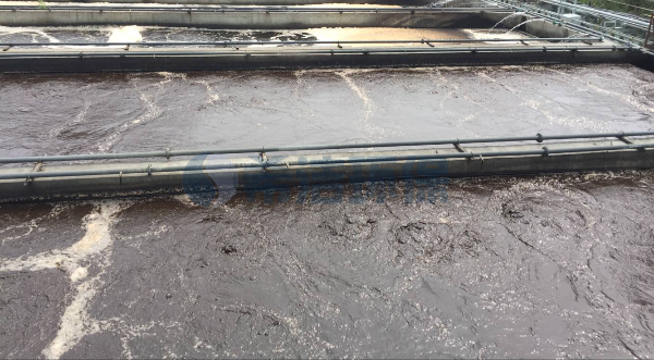 污水怎么处理变清