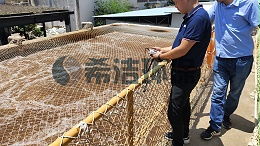电泳漆废水的处理方法-处理篇（图）