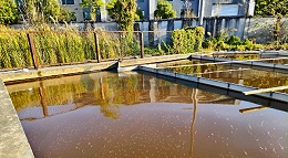 脱色剂效果怎么样