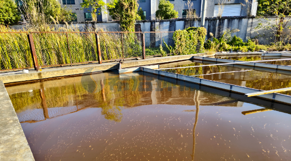 脱色剂效果怎么样