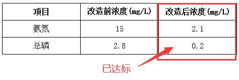 污水处理厂处理效果