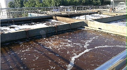 总磷超标的解决办法（图）