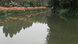 农村污水处理治理