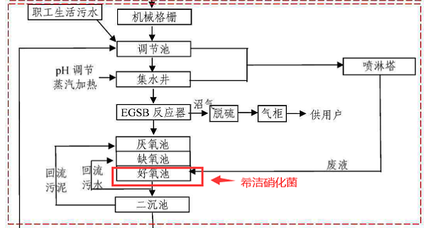 淀粉厂废水处理工艺2