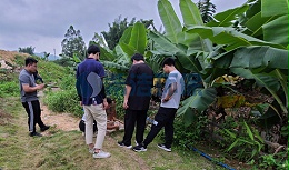 农村的污水排放及污水处理