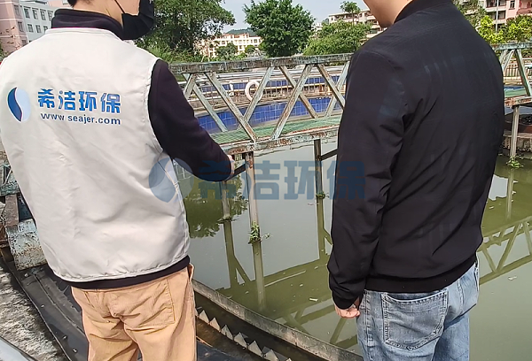 城市的废水是怎样处理的