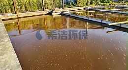 印染污水氨氮偏高怎么降，用什么处理方法（图）