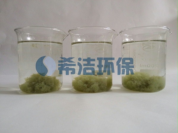 污水COD高怎么处理